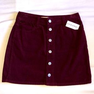 NEW Pacsun Skirt